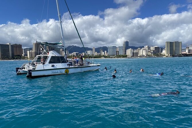 Oahu Catamaran Snorkel Tour: See Turtles 100% Guaranteed - How the Oahu catamaran snorkel tour really plays out
