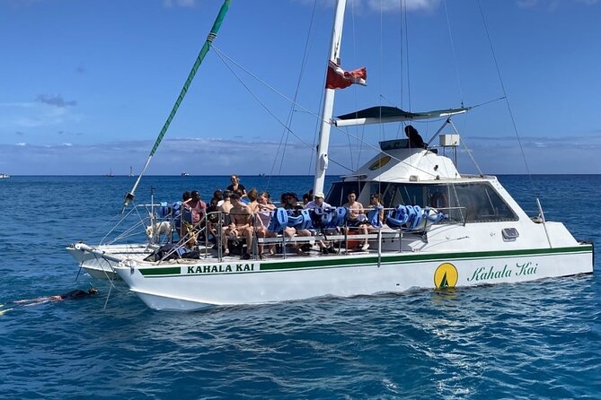 Oahu Catamaran Snorkel Tour: See Turtles 100% Guaranteed - The guide team, including Sushi the dog lookout