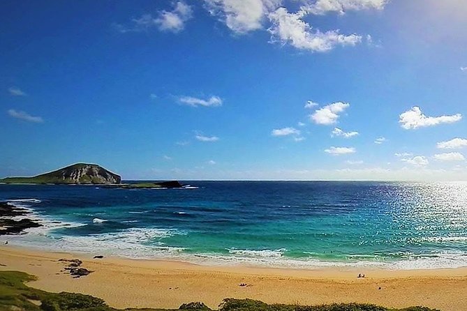 Oahu Circle Island Tour with Turtle Snorkeling— Small-Groups - Turtle Town snorkeling: what you get, what you should expect