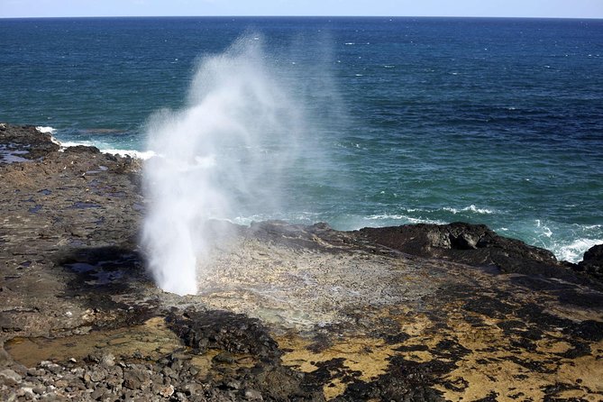Oahu Circle Island Tour with Waimea Waterfall - Macadamia and Kona tastings: a real break from the bus