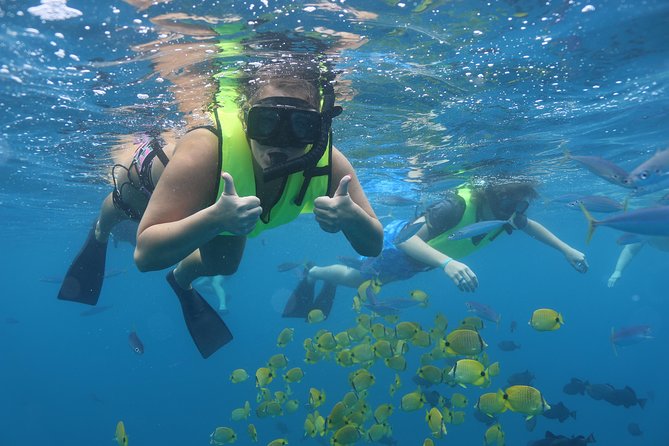 Oahu Dolphin and Snorkel Tour with Waikiki Pickup & Lunch - Why This West Oahu Cruise Feels Special
