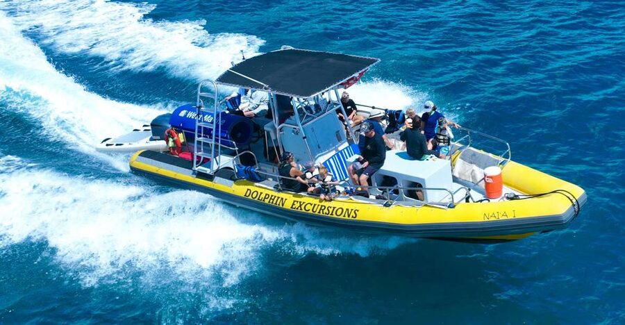 Oahu: Dolphin Swim and Turtle Snorkel Excursion in Waianae - Key things that make this Waianae dolphin and turtle tour worth it