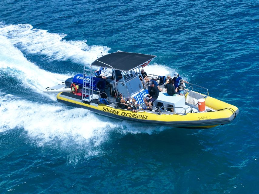 Oahu: Dolphin Swim and Turtle Snorkel Excursion in Waianae - Snorkeling in protected bays, plus what sea turtles add