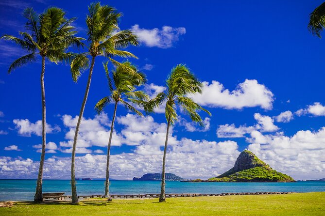 Oahu Grand Circle Island and Haleiwa Tour: 9-Hr Deluxe Experience - Byodo-In Temple: where the day slows down in a good way