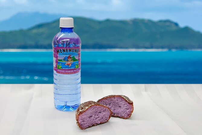 Oahu Grand Circle Island and Haleiwa Tour: 9-Hr Deluxe Experience - Diamond Head viewpoint and the North Shore window: surf energy without the stress