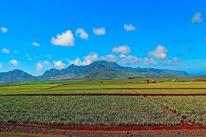 Oahu Grand Circle Island Experience from Waikiki - Halona Blowhole, Sandy Beach (Broke Neck Beach), and Makapu’u Point