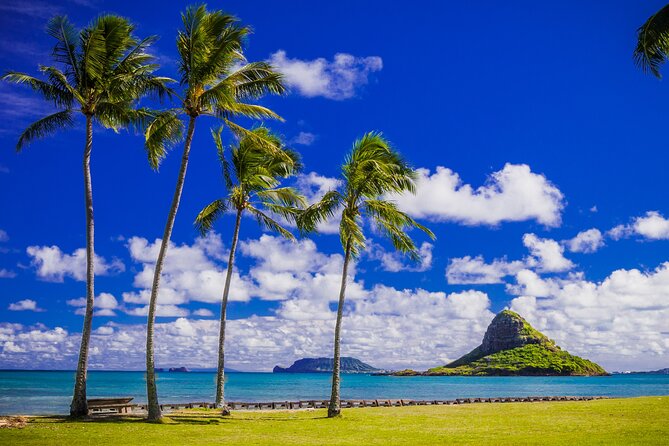 Oahu: Grand Tour Around Island 16 Locations plus Snorkeling - North Shore snorkeling: gear, timing, and when you might swim instead