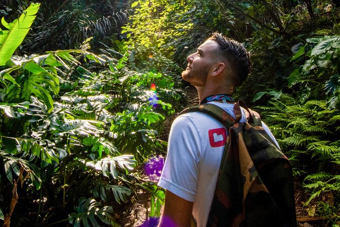 Oahu in a Day: Waterfall - Food Trucks - Lookouts - Small Crowds - Green World Coffee Farm: A Real Wake-Up Stop, Not Just a Photo Pull-Off