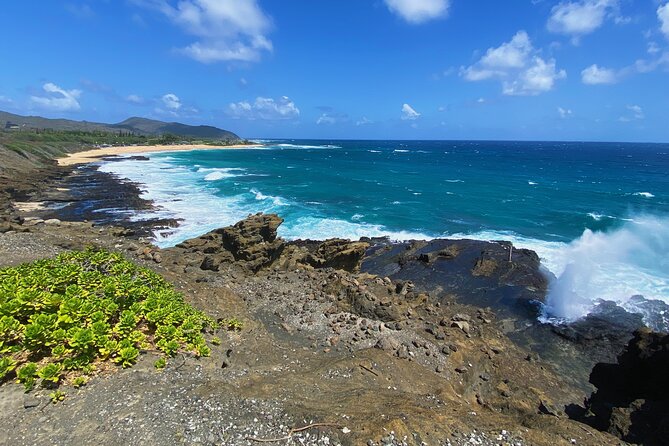 Oahu Island Experience feat the North Shore (Small Group Tour) - Kahuku Sugar Mill food trucks: big variety, big expectations