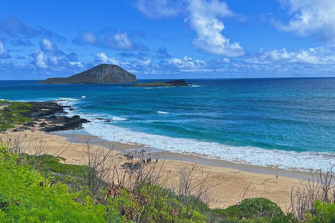 Oahu Island Experience feat the North Shore (Small Group Tour) - Tropical Farms macadamia stop: samples first, shopping second