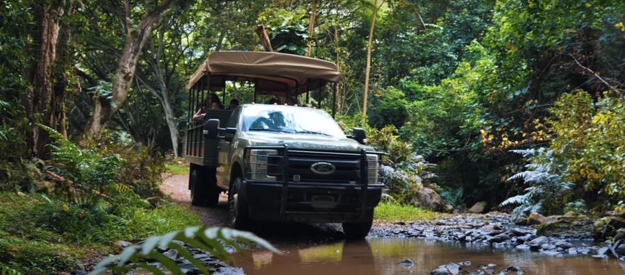 Oahu: Kualoa Open Air Jungle Expedition Tour - The Open-Air Vehicle Experience on Hakipuu Trails and Stream Beds