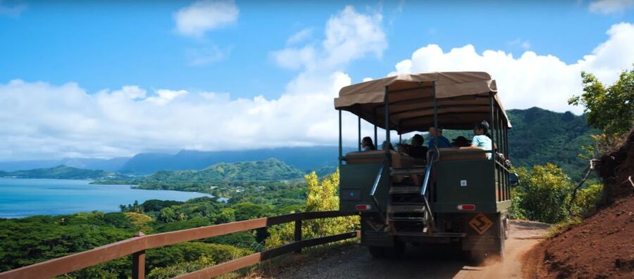 Oahu: Kualoa Open Air Jungle Expedition Tour - Panoramic Viewpoints: Why the Route Feels Like It Has More Than One Stop