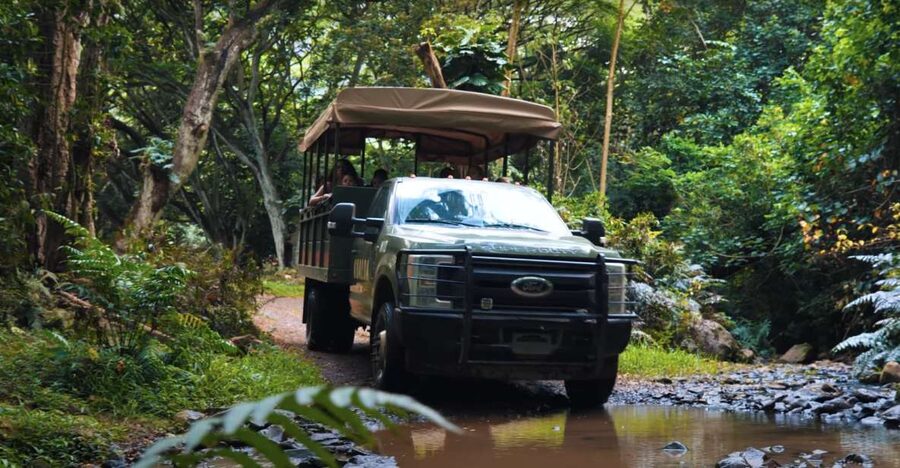 Oahu: Kualoa Open Air Jungle Expedition Tour - Meeting at Kualoa Ranch: Show Up Early and Plan for Lines