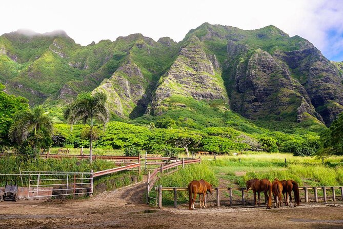 Oahu: Kualoa Ranch UTV Raptor Tour - Kualoa Ranch check-in and the rules that keep the ride fun