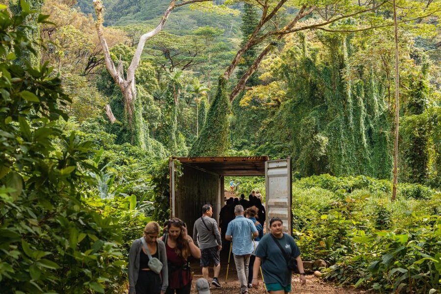 Oahu: Manoa Falls Waterfall Hike with Lunch and Transfers - Waikiki to Manoa Falls, Without the Headache