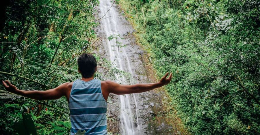 Oahu: Manoa Falls Waterfall Hike with Lunch and Transfers - Manoa Falls, the 150-Foot Payoff and Your Photo Strategy