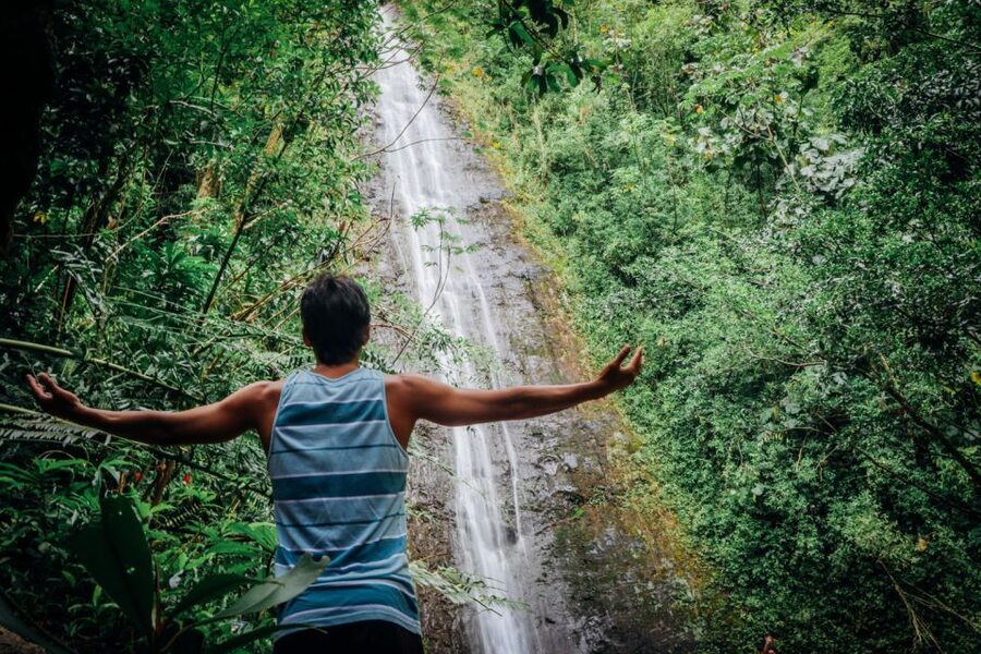 Oahu: Manoa Falls Waterfall Hike with Lunch and Transfers - Price, Pace, and Who This Tour Is Best For