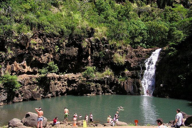 Oahu North Shore Experience: Activities, Waterfall & Free Time - North Shore beats, not just a list of sights
