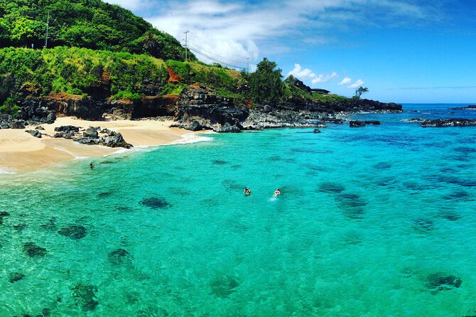 Oahu North Shore Experience: Activities, Waterfall & Free Time - Shark’s Cove snorkeling time that does not feel rushed