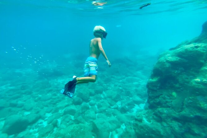 Oahu North Shore Experience: Activities, Waterfall & Free Time - Waimea Botanical Gardens and the waterfall swim moment