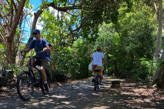 Oahu North Shore Experience: Activities, Waterfall & Free Time - Sunset Beach and Pipeline: season decides what you see