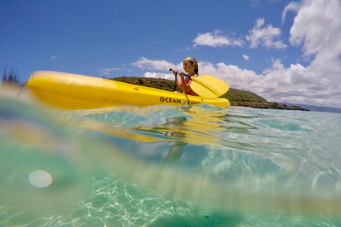 Oahu North Shore Experience: Activities, Waterfall & Free Time - Price and what you actually get for $167.53