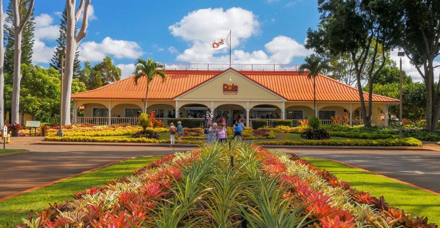 Oahu: Oahu Ultimate Grand Circle Island Tour - Key Highlights You’ll Actually Feel During the Day