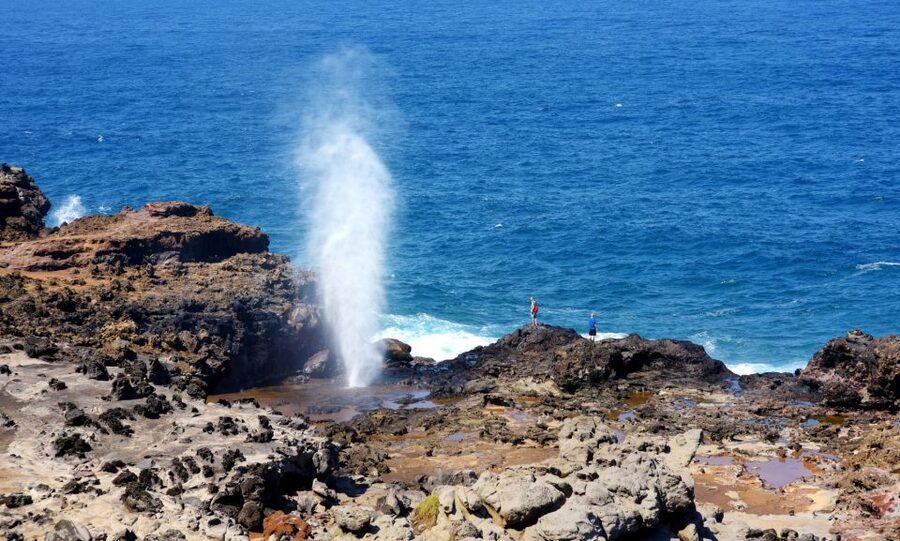 Oahu: Oahu Ultimate Grand Circle Island Tour - East Oahu Scenic Drives: Kahala and Makapu‘u Point with Movie-Scene Energy