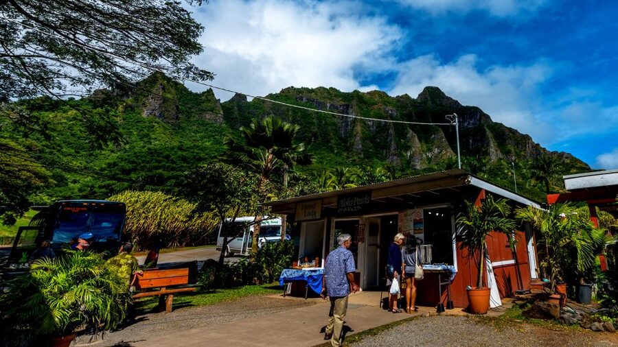 Oahu: Oahu Ultimate Grand Circle Island Tour - Dole Plantation and Green World Coffee Farm: Shopping Stops That Feel Worth It