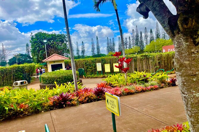 Oahu: Roundtrip Shuttle From Waikiki to Dole Plantation & Haleiwa - Key Points You Should Know Before You Go