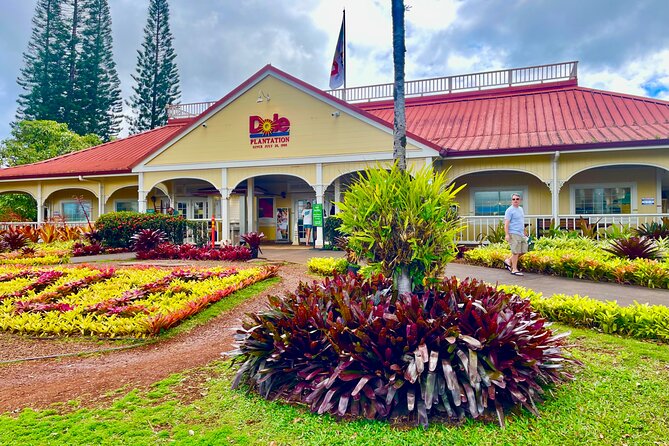 Oahu: Roundtrip Shuttle From Waikiki to Dole Plantation & Haleiwa - Waikiki Pickup at Dawn, Then North Shore Fast