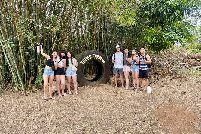 Oahu: Roundtrip Shuttle From Waikiki to Dole Plantation & Haleiwa - Haleiwa Town Center for Lunch, Surf Culture, and Shopping