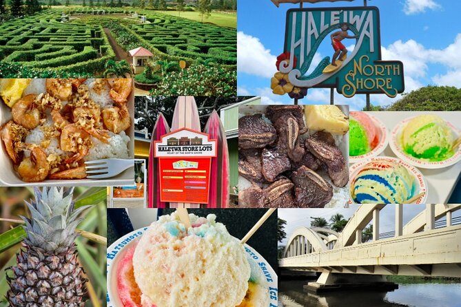 Oahu: Roundtrip Shuttle From Waikiki to Dole Plantation & Haleiwa - Price and Logistics: Why $30.25 Can Feel Like a Deal