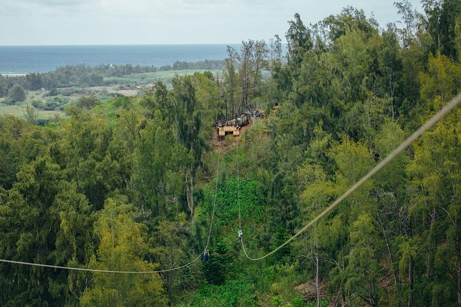 Oahu's North Shore: 8-Line Zipline Adventure - Beyond ziplining: rappels, sky bridges, and boardwalk time