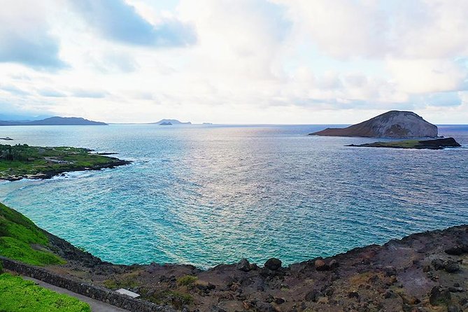 Oahu's Ultimate Tour: Dole, Turtle Snorkel, Pali Lookout & More - A 7 AM Bus Day That Actually Makes Sense for Time-Limited Oahu