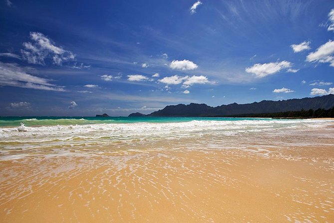Oahu's Ultimate Tour: Dole, Turtle Snorkel, Pali Lookout & More - Turtle Snorkeling at Haleiwa: Best Chance, Rocky Access, Realistic Expectations