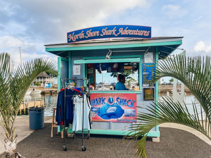 Oahu: Shark Cage Dive on the North Shore - Quick highlights that shape your day