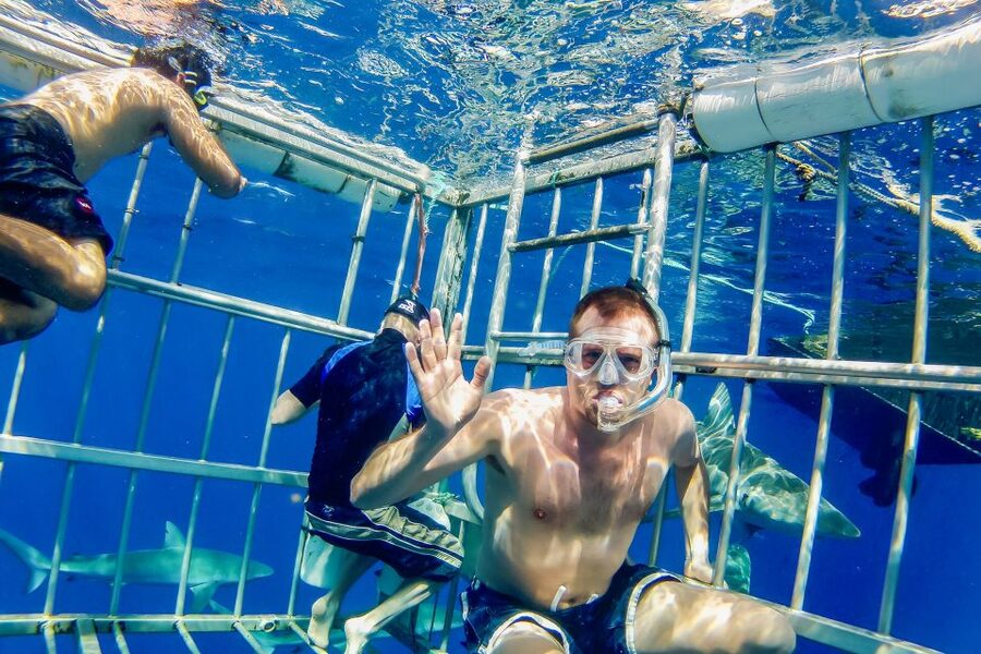 Oahu: Shark Cage Dive on the North Shore - Time on the water: 90 minutes that feel busy, not rushed