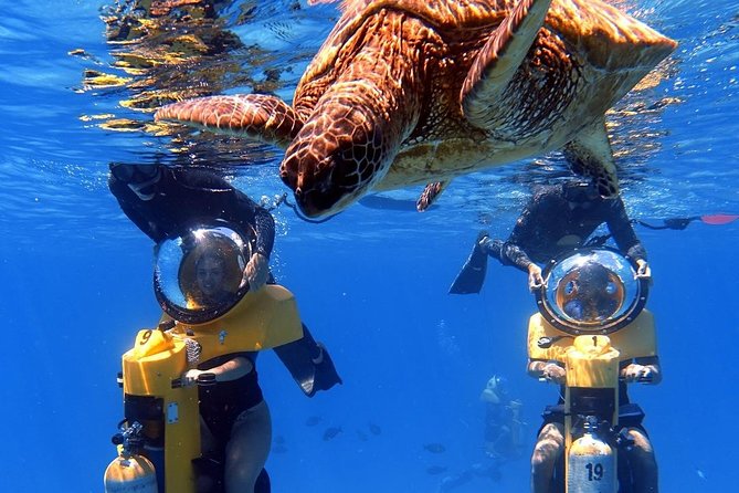 Oahu: Submarine Scooter Adventure - Key highlights you should care about