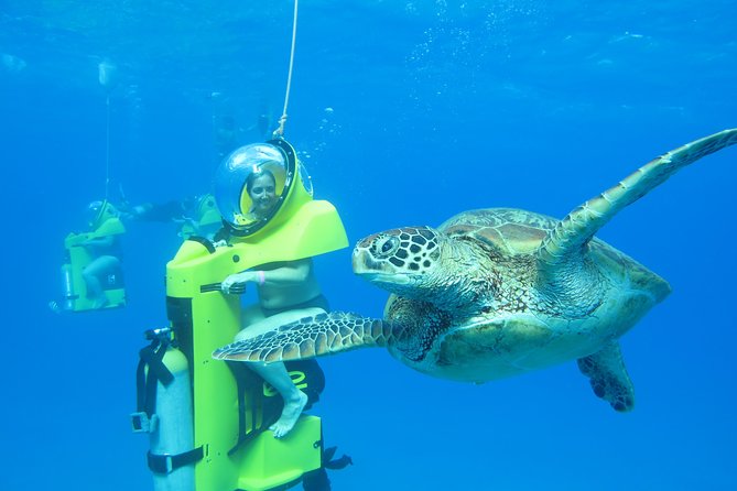 Oahu: Submarine Scooter Adventure - Check-In, Waivers, and What to Bring (So You Stay Comfortable)