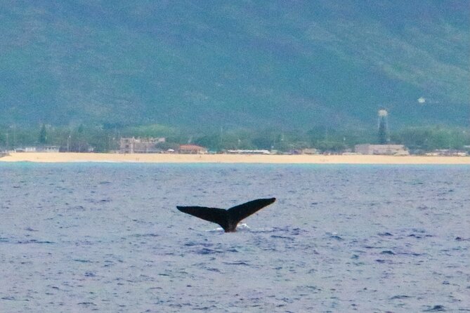 Oahu: Swim with Dolphins on the West Coast - A stop for scenery: Waianae Mountain Range from the water