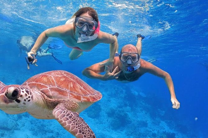Oahu Ultimate Circle Island Tour Full Day Experience - Waikiki pickup and the first stretch of the day
