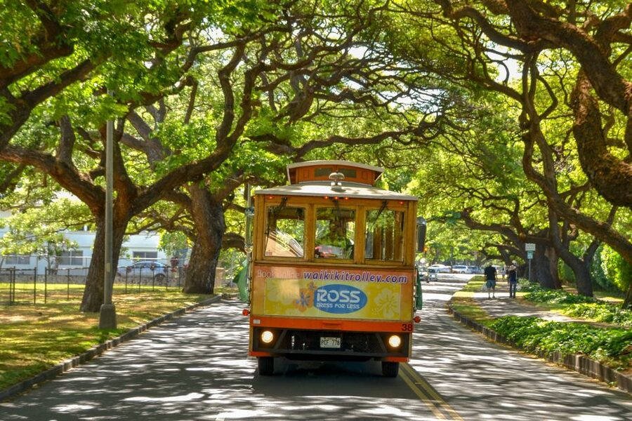 Oahu: Waikiki Trolley Hop-on Hop-off All-Line Pass - Rules, comfort, and what to bring (and not bring)