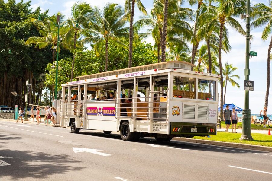 Oahu: Waikiki Trolley Hop-on Hop-off All-Line Pass - Green Line to Diamond Head and KCC Farmers Market