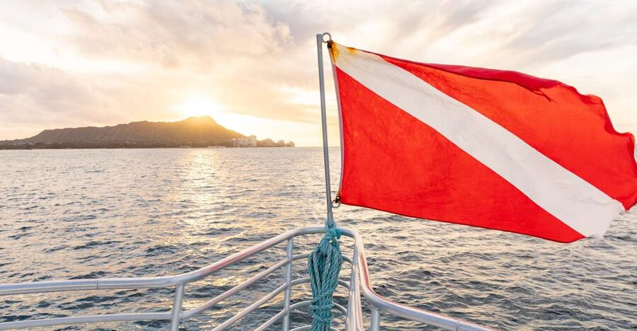 Oahu: Waikiki Turtle Canyons Cruise and Snorkel Excursion - Key Things That Make This Turtle Canyons Cruise Worth It