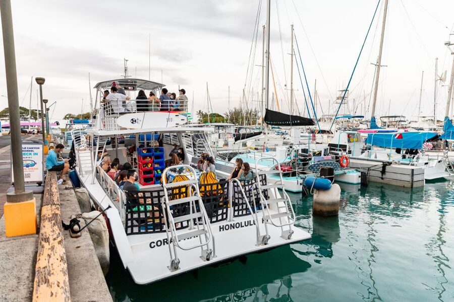 Oahu: Waikiki Turtle Canyons Cruise and Snorkel Excursion - Practical Checklist: What to Bring and What to Leave Off