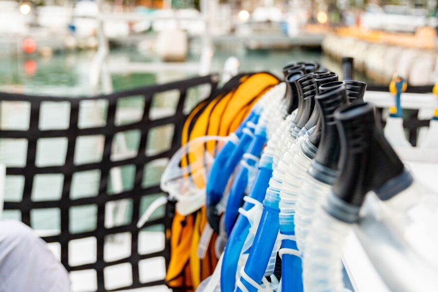 Oahu: Waikiki Turtle Canyons Cruise and Snorkel Excursion - Waikiki Coast Cruise: Safety First, Marine Life Second