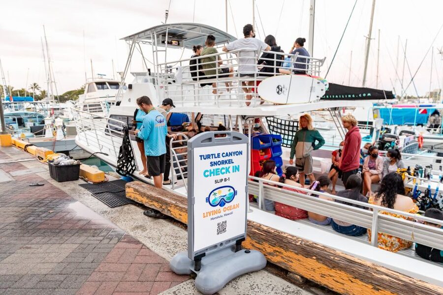 Oahu: Waikiki Turtle Canyons Cruise and Snorkel Excursion - Marine Life Viewing: Dolphins, Whales, and the Turtle Canyon Reality Check