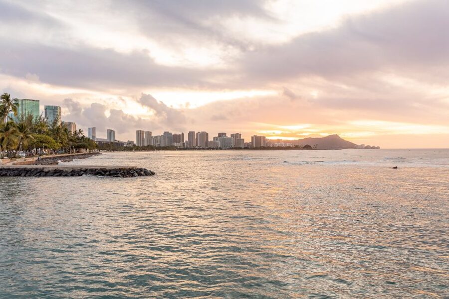 Oahu: Waikiki Turtle Canyons Cruise and Snorkel Excursion - Price and Value: Why $89 for 2 Hours Can Make Sense