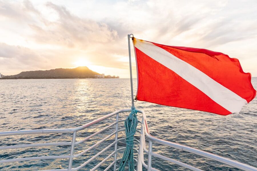 Oahu: Waikiki Turtle Canyons Cruise and Snorkel Excursion - Meeting at Coral Kai in Kewalo Basin, and Why Timing Matters